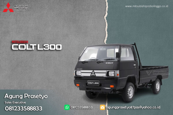L300